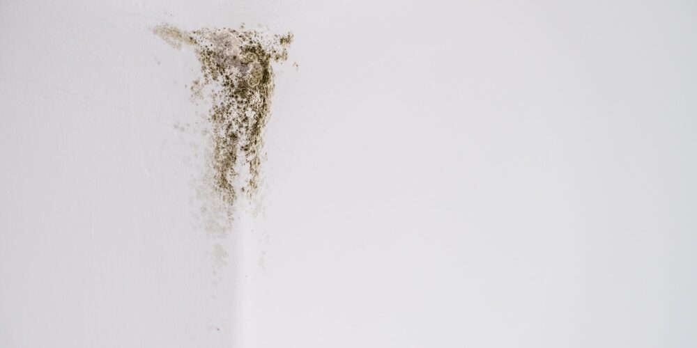 Leichter Schimmelbefall in einer Raumecke als typisches Beispiel für Schimmel in Neubauten