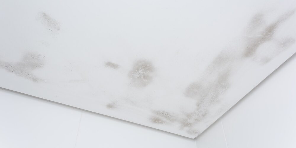 Beginnender Schimmelbefall an einer Decke als Beispiel für nicht nachhaltige Lösungen bei Schimmel in Neubauten