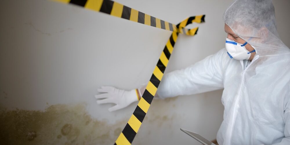 Fachliche Untersuchung von Schimmelbefall zur Ursachenanalyse bei Schimmel in Neubauten