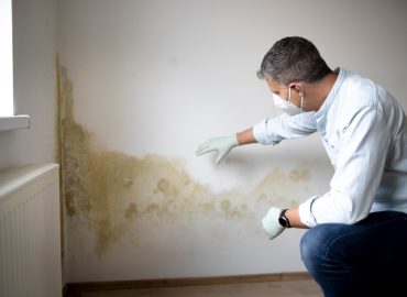 Schimmel in Neubauten. Schimmelbeseitigung in Kiel in einer Mietwohnung, Klar zu erkennen ist der Schimmelbefall, der sich von der Außenwand nach innen gearbeitet hat.